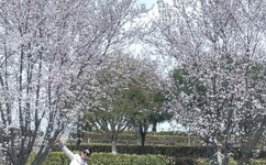 快让我吃一下你的小扇贝